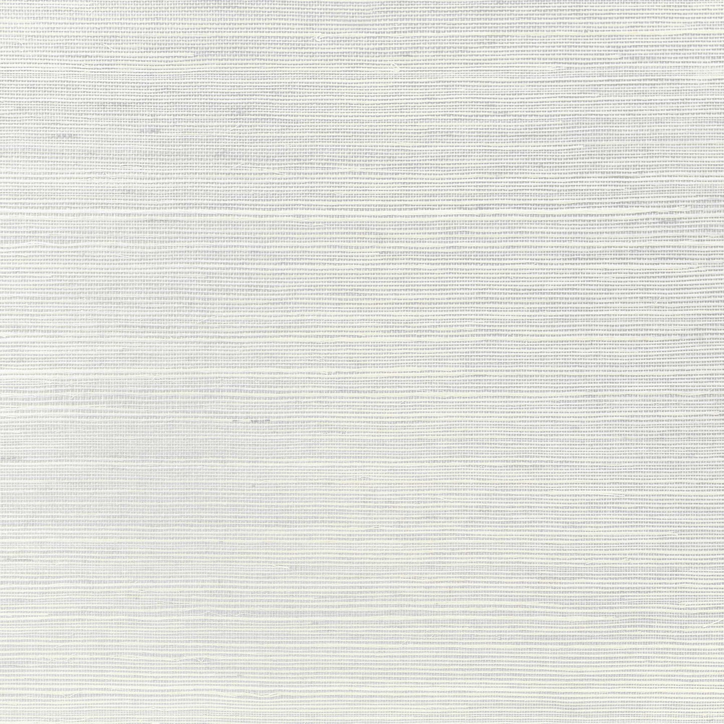 Daisy Bennett - WP21606