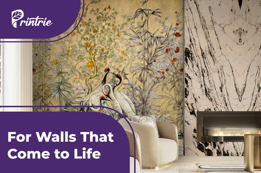 3D Wallpaper Designs for Your Home