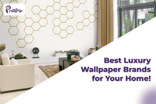  Luxury Wallpaper Brands in dubai