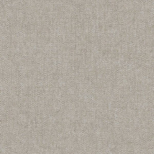Sahara - 66081