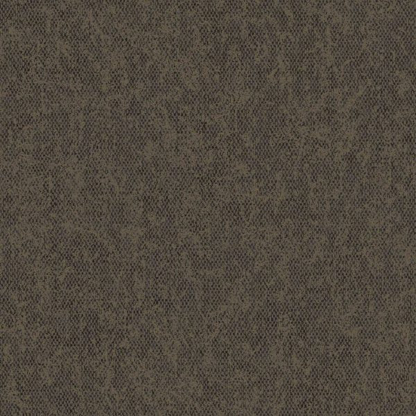 Sahara - 66083