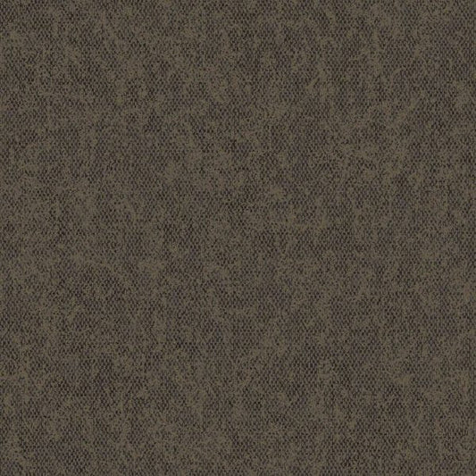 Sahara - 66083