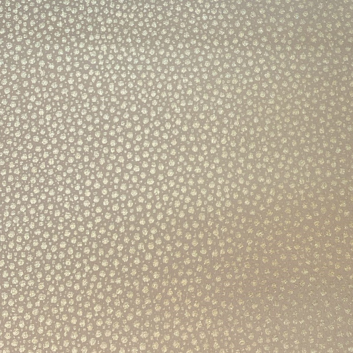 Dunes - 79-1735