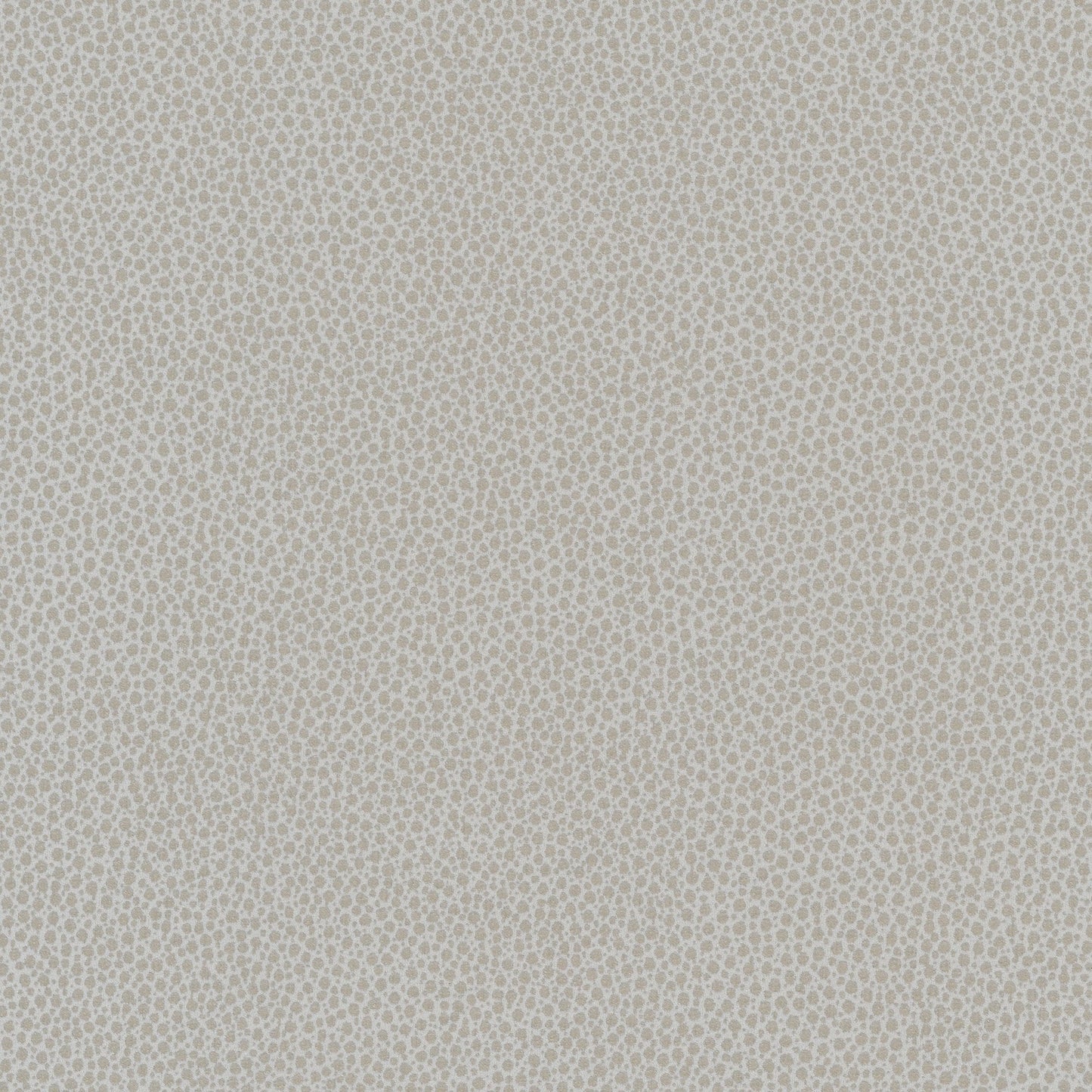 Dunes - 79-1736