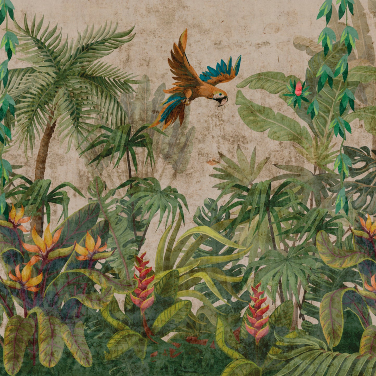 Savanna - Z77576