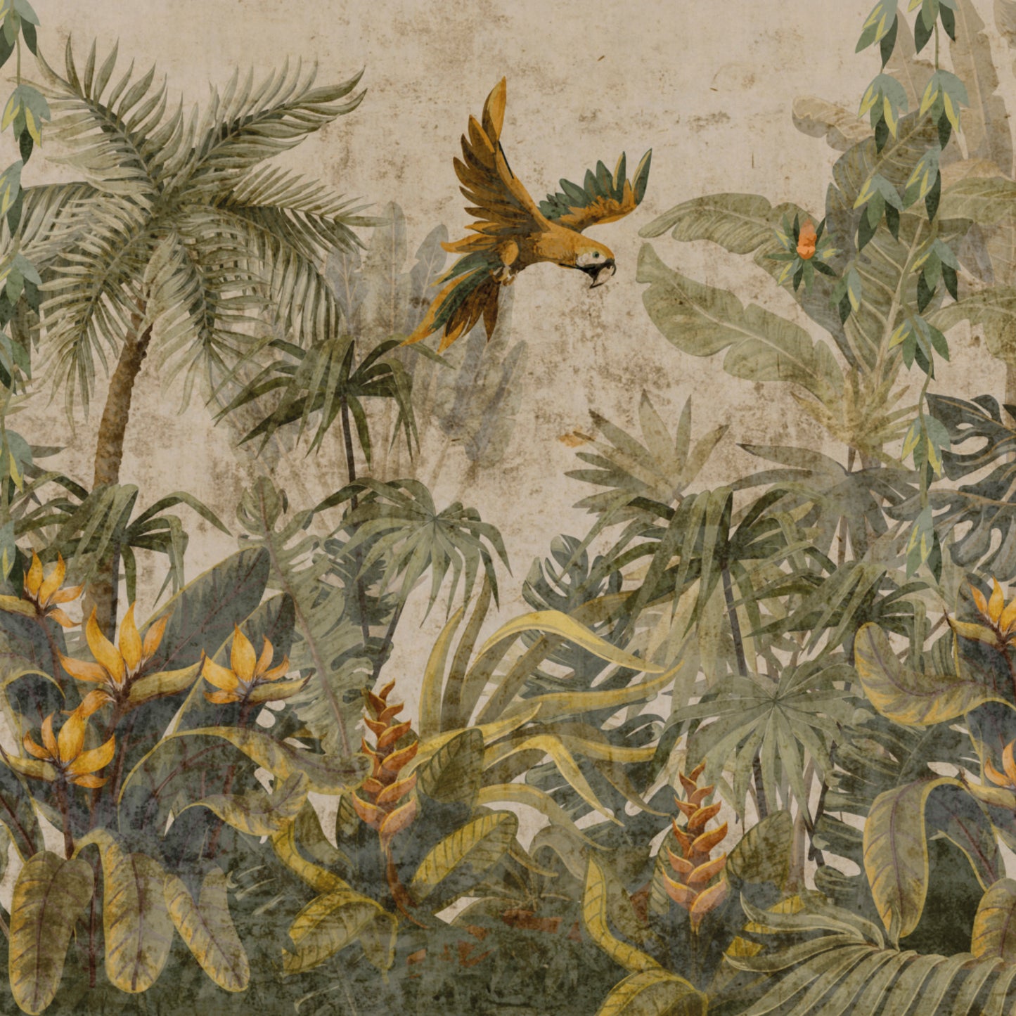 Savanna - Z77576