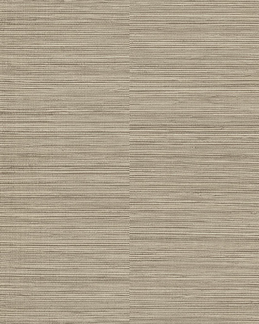 Ciara - A62903