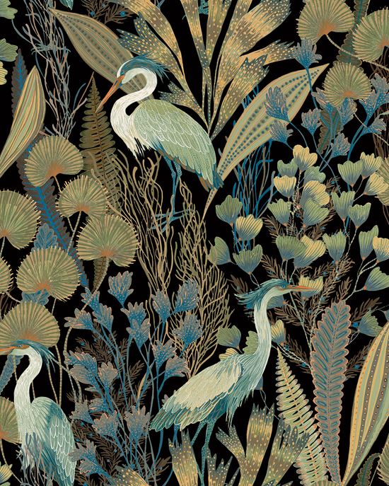 Ciara - A63201