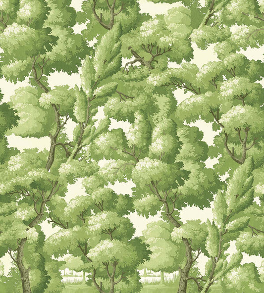 Carl Robinson 19 - CL30204M