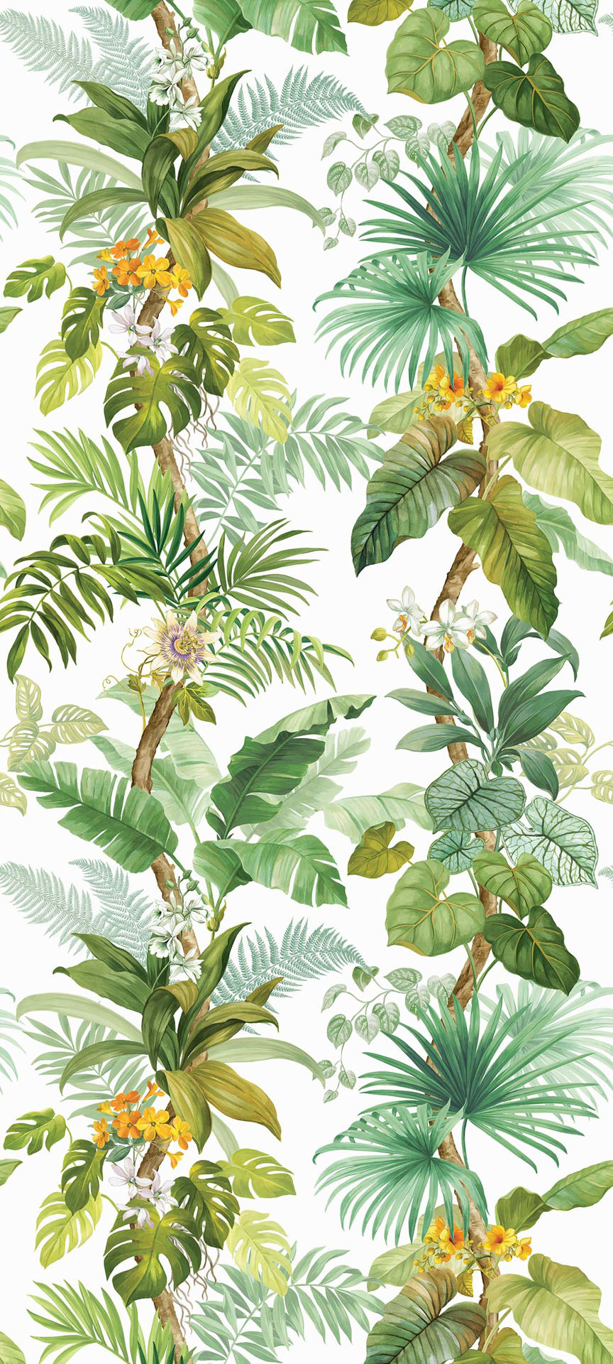 Carl Robinson 19 - CL31000M