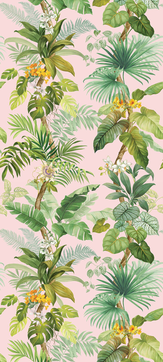 Carl Robinson 19 - CL31001M