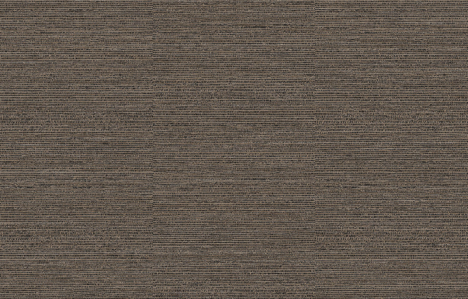 Cocoon - co200