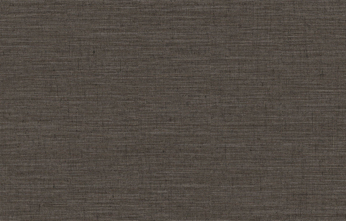 Cocoon - co300