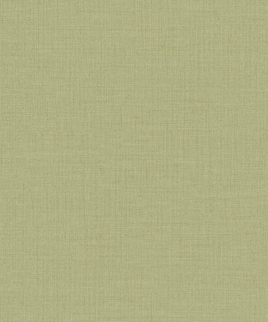 Icon - IC1014