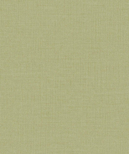 Icon - IC1014