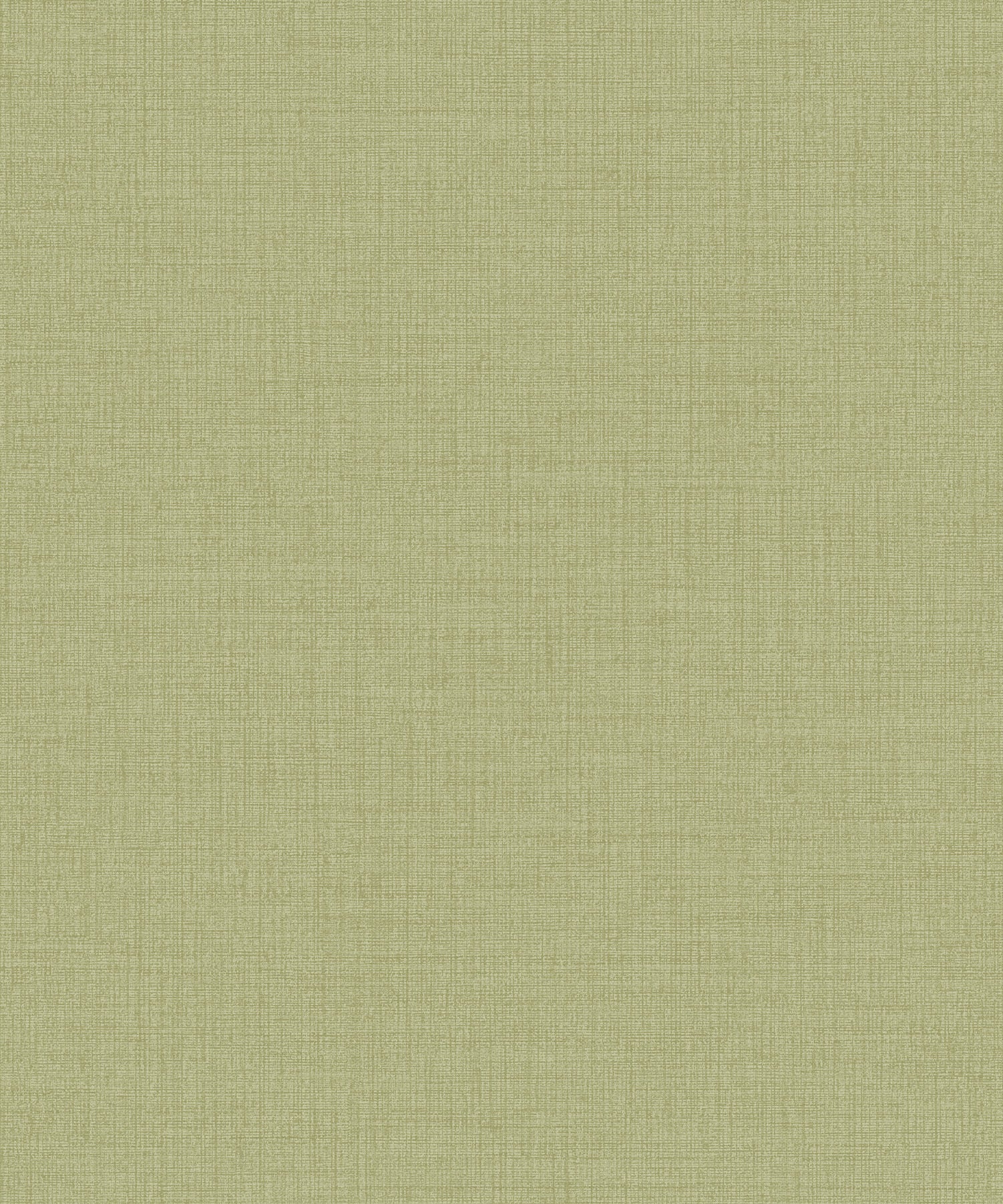 Icon - IC1014