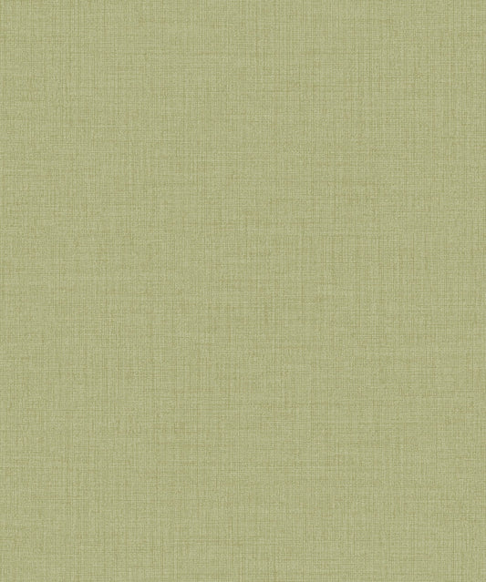 Icon - IC1014