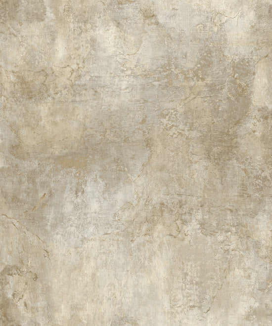 Icon - IC1204