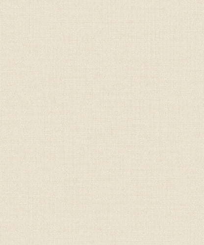 Little Dreamers 2025 - LD1019
