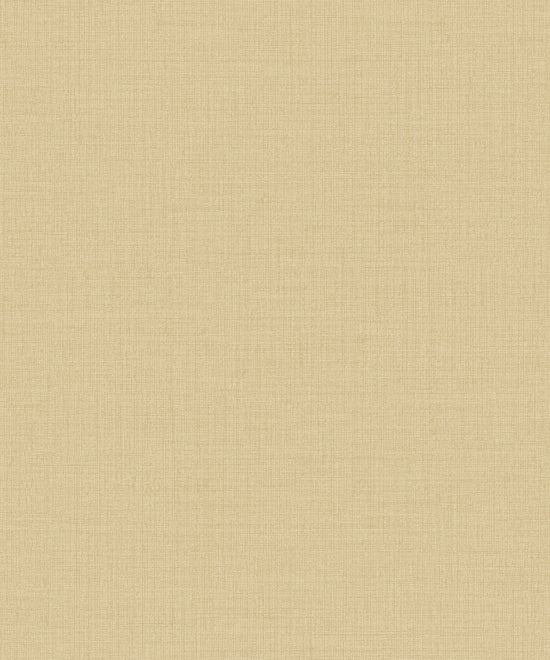 Little Dreamers 2025 - LD1020