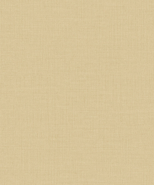 Little Dreamers 2025 - LD1020