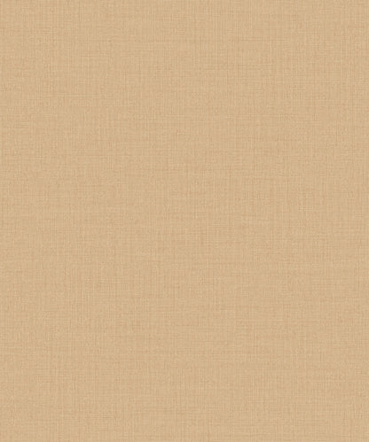 Little Dreamers 2025 - LD1021