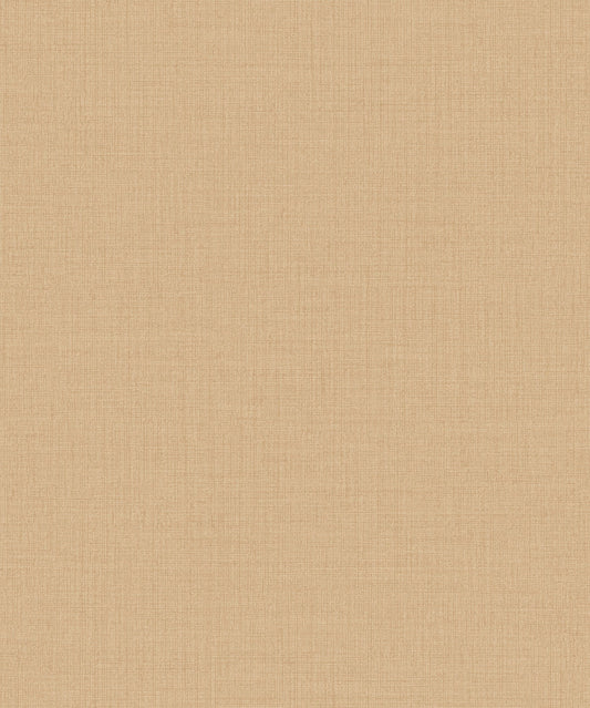 Little Dreamers 2025 - LD1021