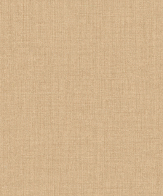 Little Dreamers 2025 - LD1021
