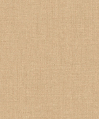 Little Dreamers 2025 - LD1021