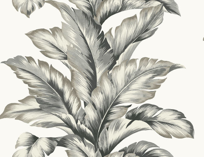 Lillian August (Coastal Haven) - LN40600