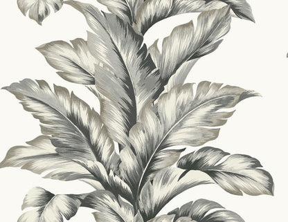 Lillian August (Coastal Haven) - LN40600
