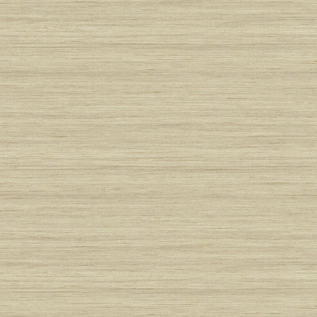 More Textures - TC70313