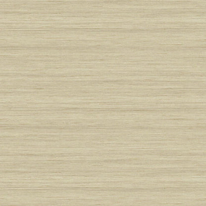 More Textures - TC70313