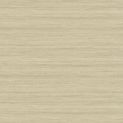 More Textures - TC70313