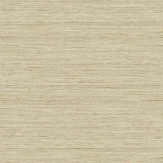 More Textures - TC70313