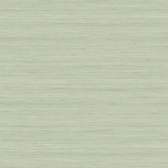 More Textures - TC70334