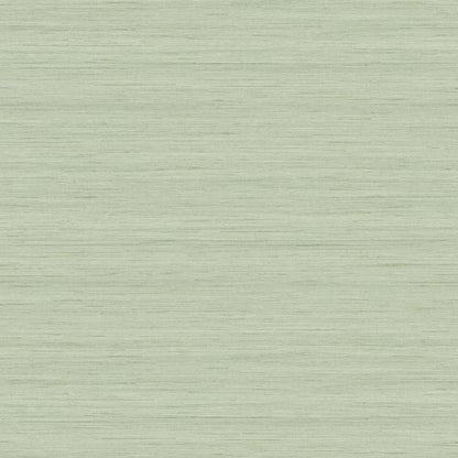 More Textures - TC70334