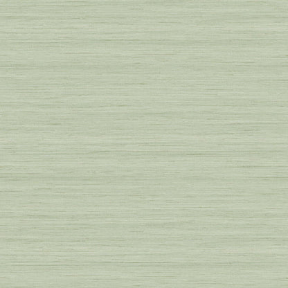 More Textures - TC70334
