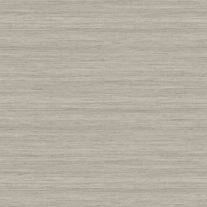More Textures - TC70337