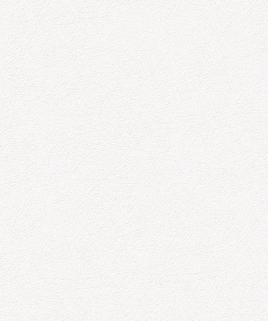 Universe 5 - UI1001